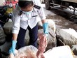 Giáp Tết, Kl992 VIP Trang Chủ 2026 thực phẩm bẩn "lên ngôi"